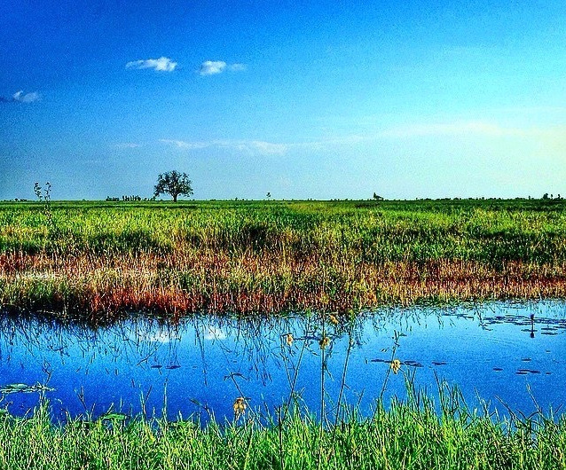 Statement on Laudato si’