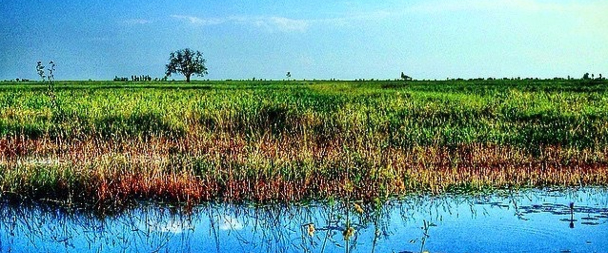Jesuits in Cambodia respond to Laudato si’