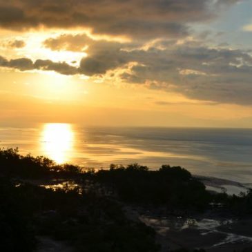 The empty tomb – the hiddenness of God