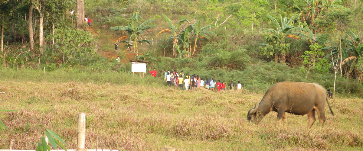 Transforming lifestyles for greater social and environmental action