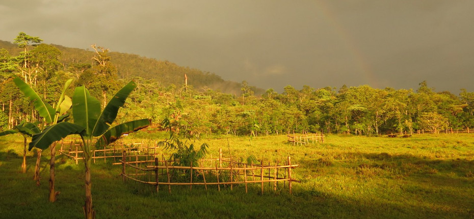 Renewing life and mission in ecology