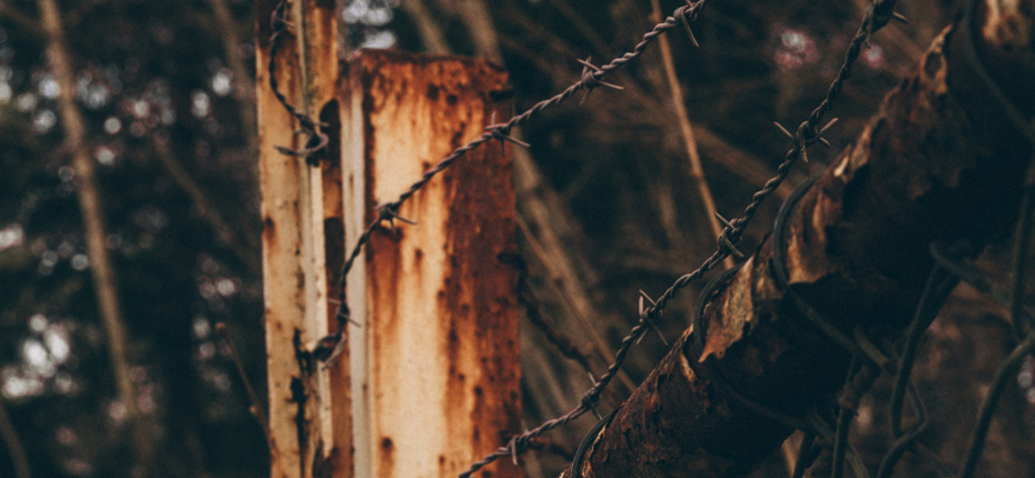 Promotio Iustitiae shines spotlight on the prison ministry