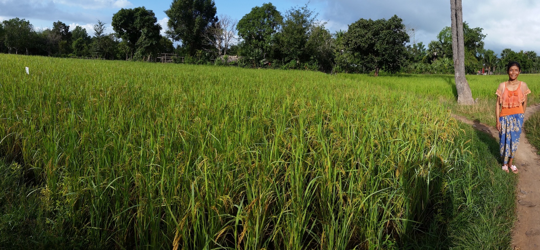 Helping small farmers in rural Cambodia succeed