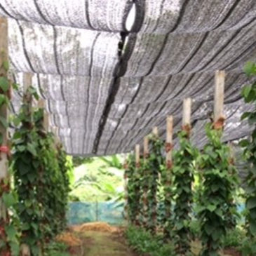 From prison to farm and a fresh start in life