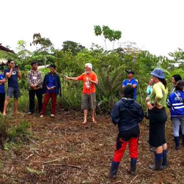 Living Laudato si’