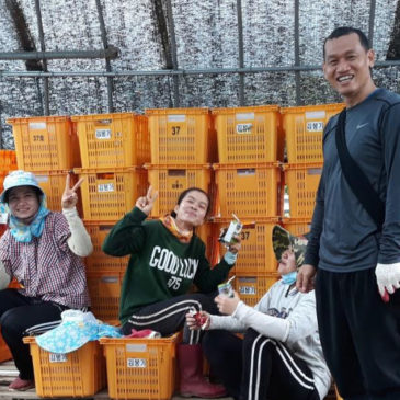 Migration, an issue that hits close to home