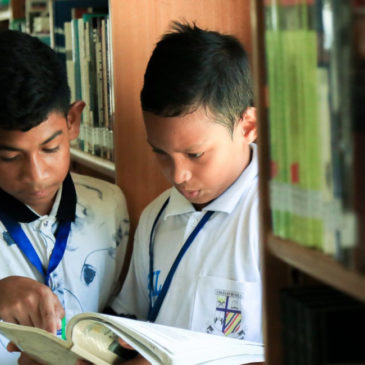 Seeking the world inside a library