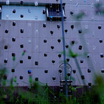 St Joseph Jesuit Scholasticate goes green