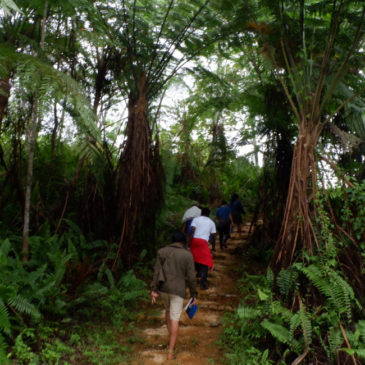 JCAP-RwC: Moving the UAPs in Asia Pacific