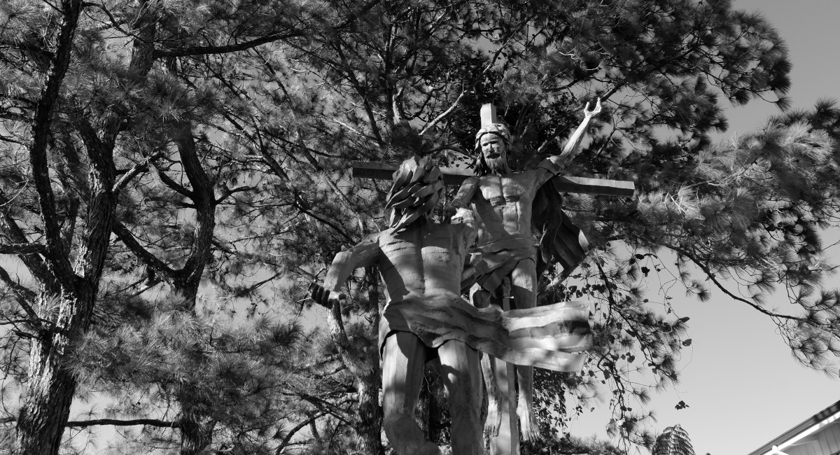 Sacred sojourn: From viral darkness to dappled light