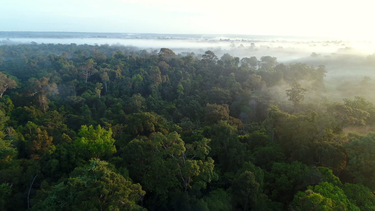 Laudato si’ in 2020: A call for courageous leaders