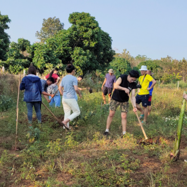 A farm with the UAPs at the centre