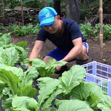 Nurturing the ecological dimension of my Jesuit vocation