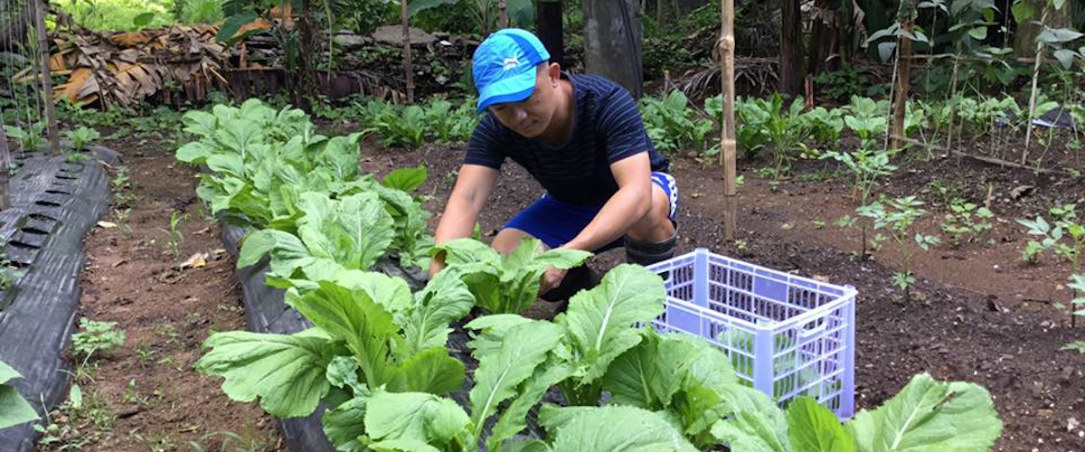 Nurturing the ecological dimension of my Jesuit vocation
