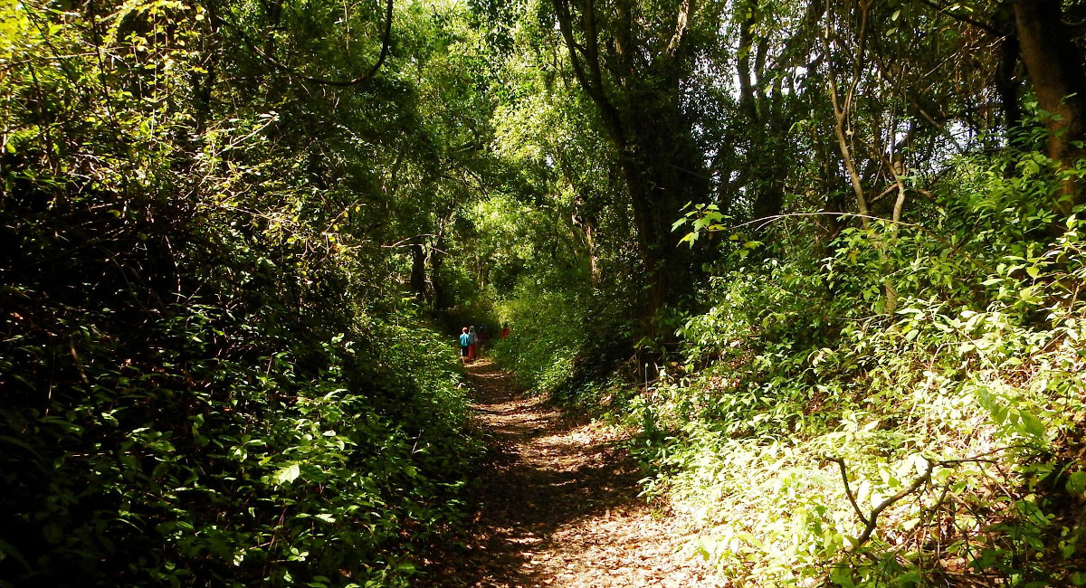 How does ecological conversion look like in practice?