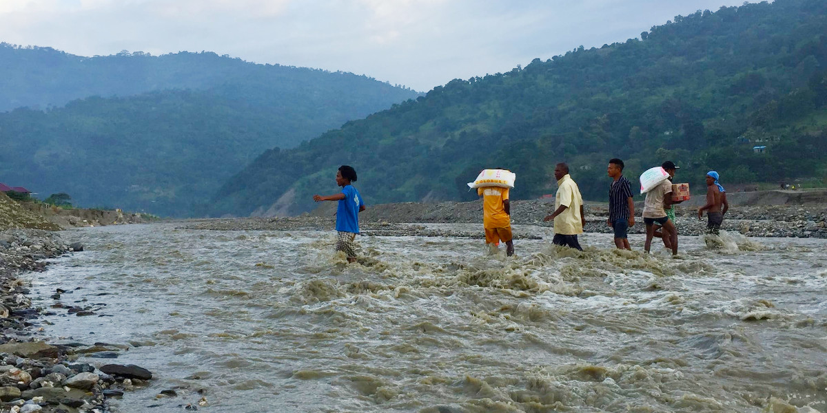 Update on the humanitarian crises in some countries of our conference