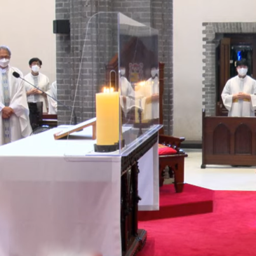 Of lambs, Francis Xavier, and the power of one