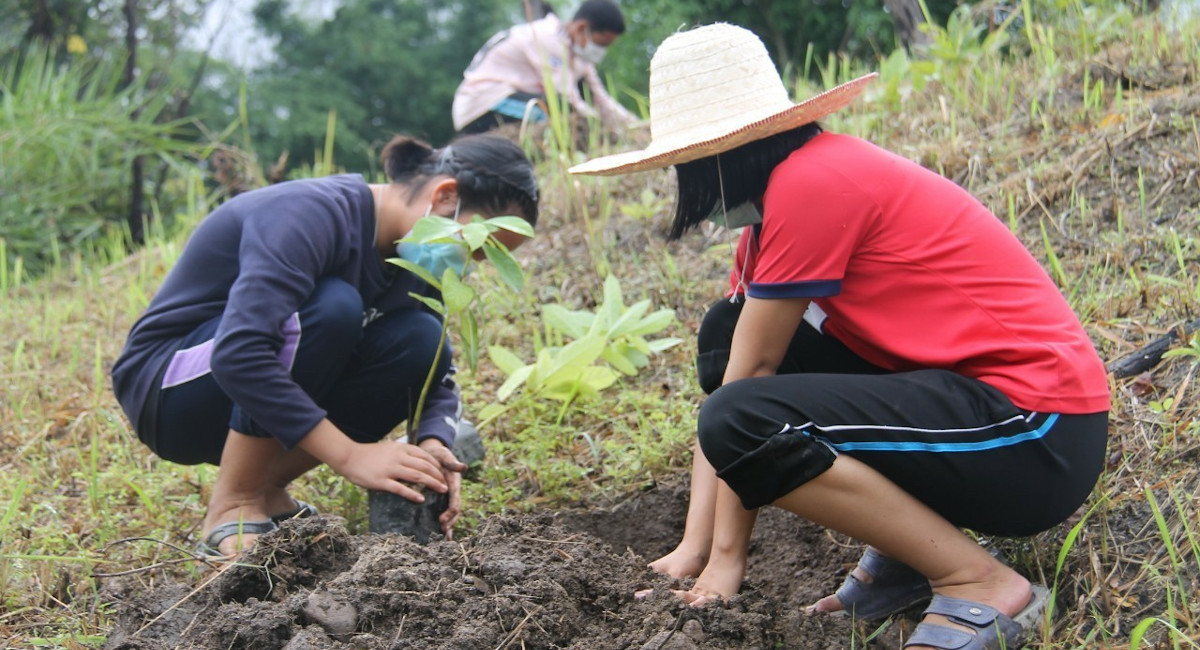 Growing canopies and strengthening communities in the forests of Southeast Asia