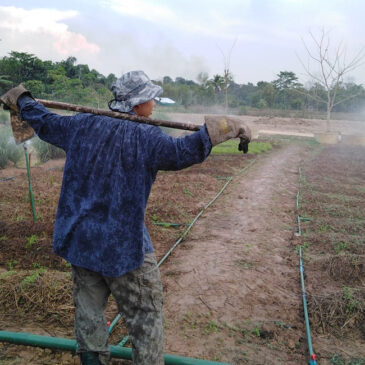 Practising sustainable agriculture at Xavier Learning Community