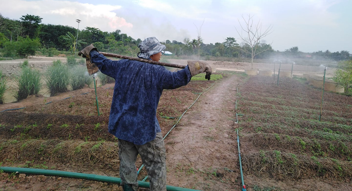 Practising sustainable agriculture at Xavier Learning Community