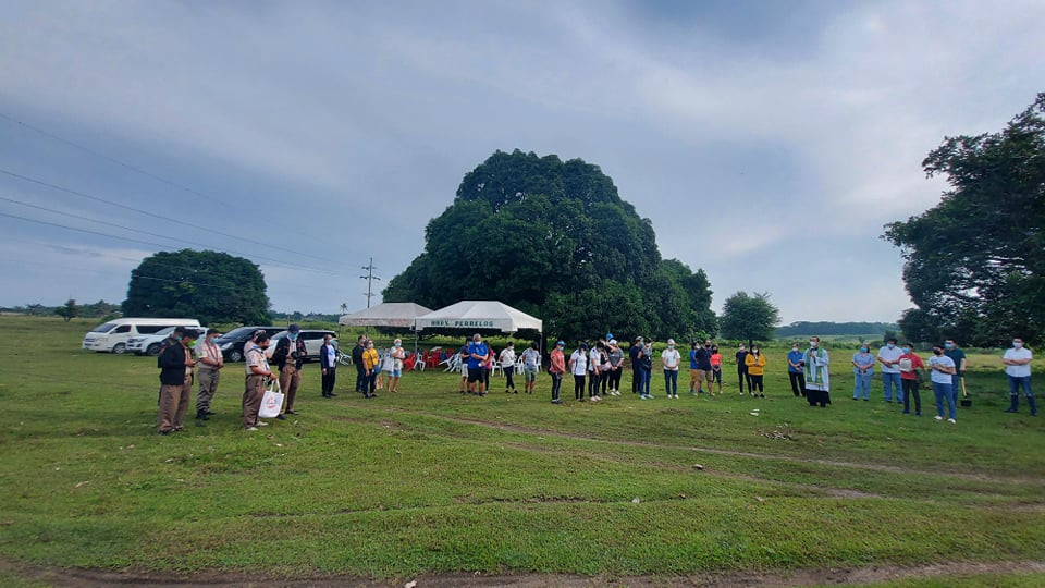 A million fruit-bearing trees for a better future