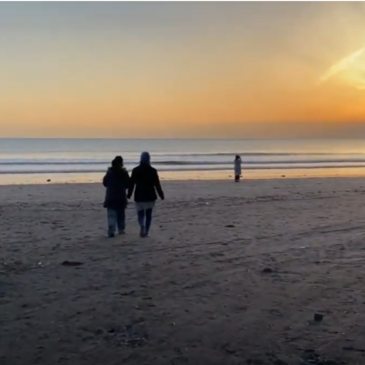 Reactivating the Migrants and Refugees Network