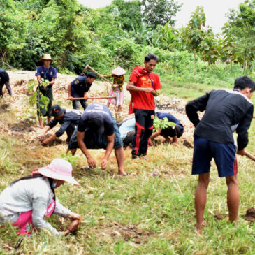 Project 40-4-40: Growing canopies and strengthening communities