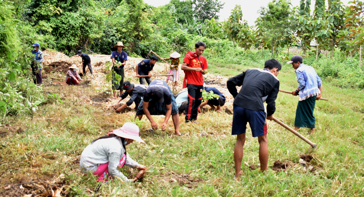 Project 40-4-40: Growing canopies and strengthening communities