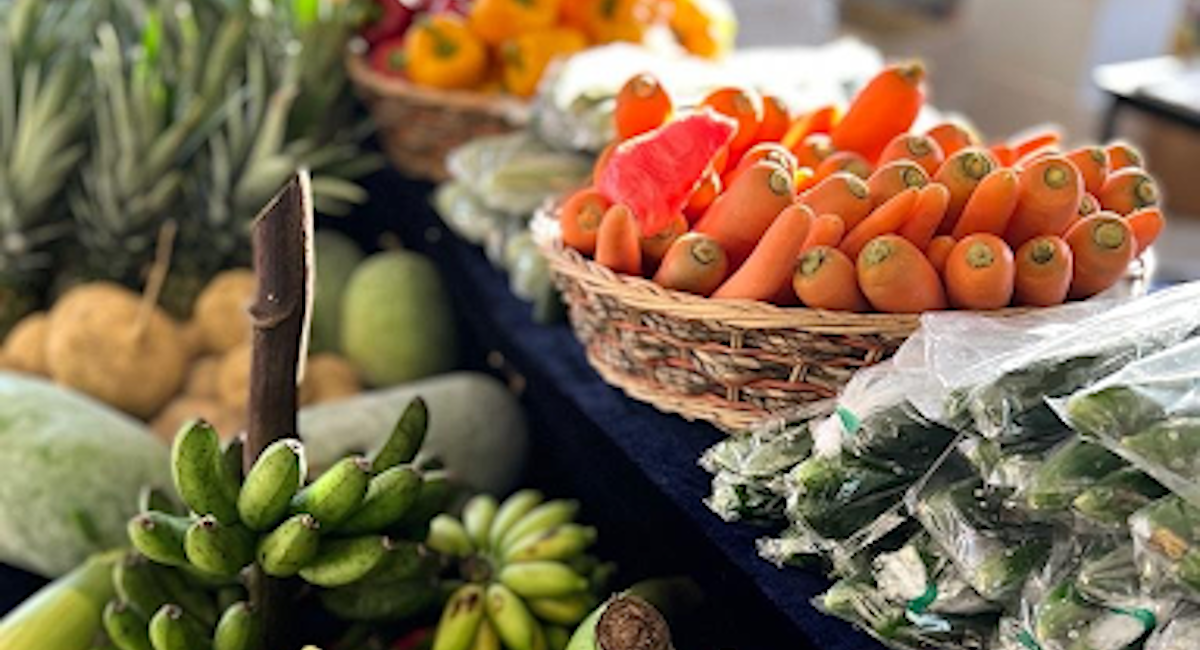 “To Market, To Market”: St Ignatius’ parish holds Farmers’ Market