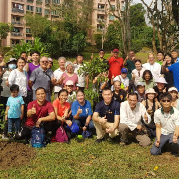 Towards a million more trees across Singapore