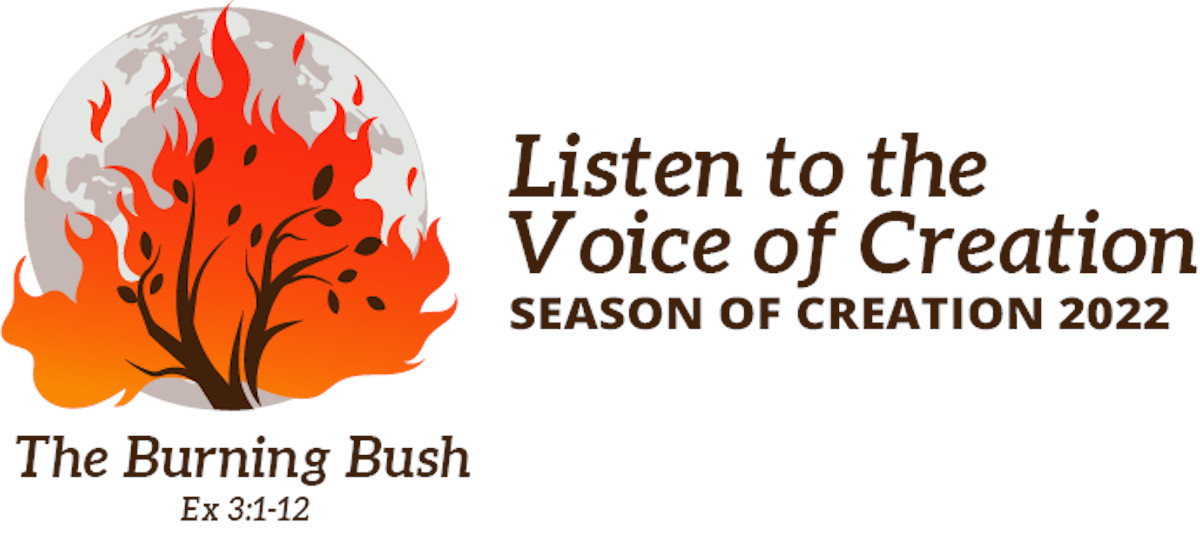 Voice of creation, voices of hope