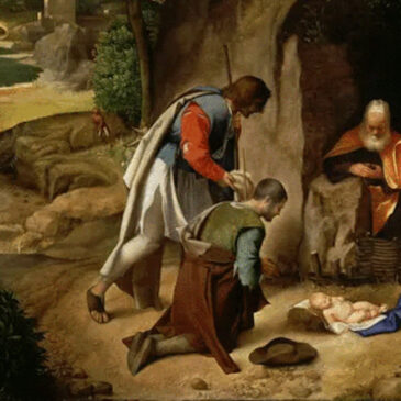 Of Christmas, fragility and synodality