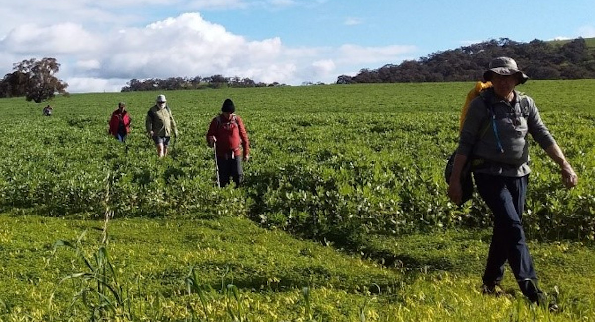 Being with God in Nature