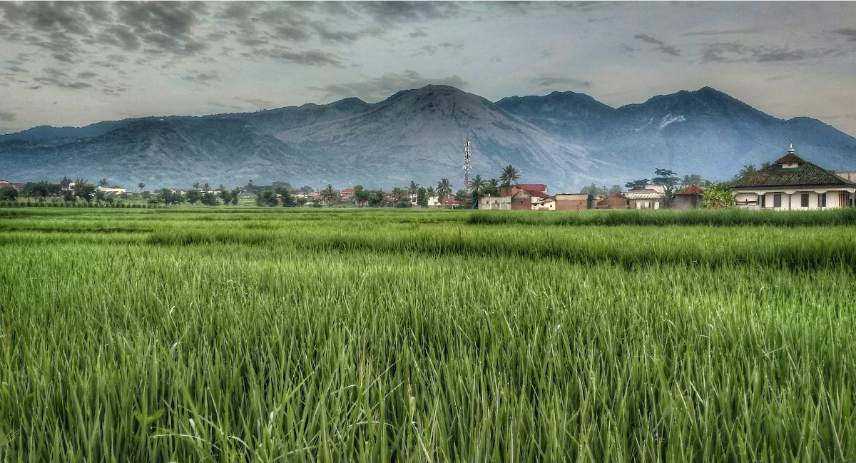 Creators of Hope: Empowering a hope-filled future