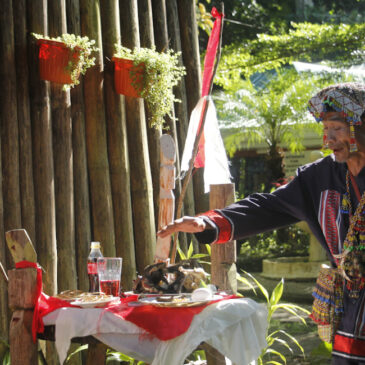 Embracing indigeneity as a global identity