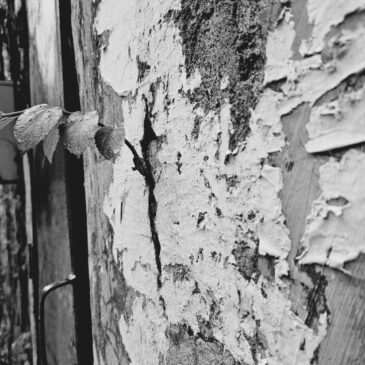Fragility