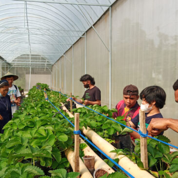 Finding God in farming