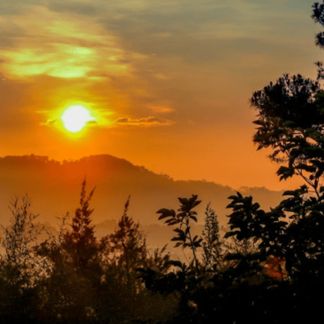 We take the side of peace