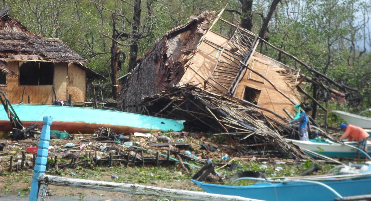 Concretizing care for creation: Insights from the Laudate Deum online forum