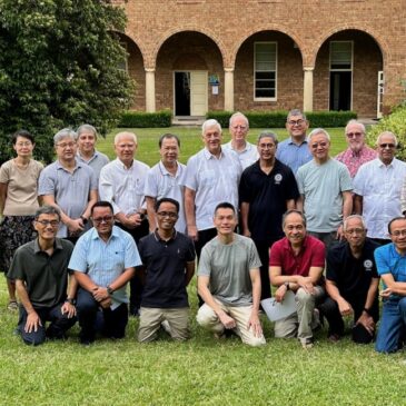 The past and the future: When the spirit of synodality guides collaboration