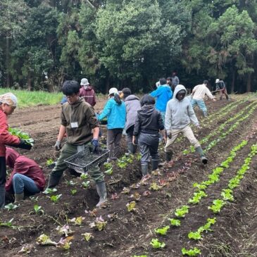 Living with the soil as brothers and sisters from many nations