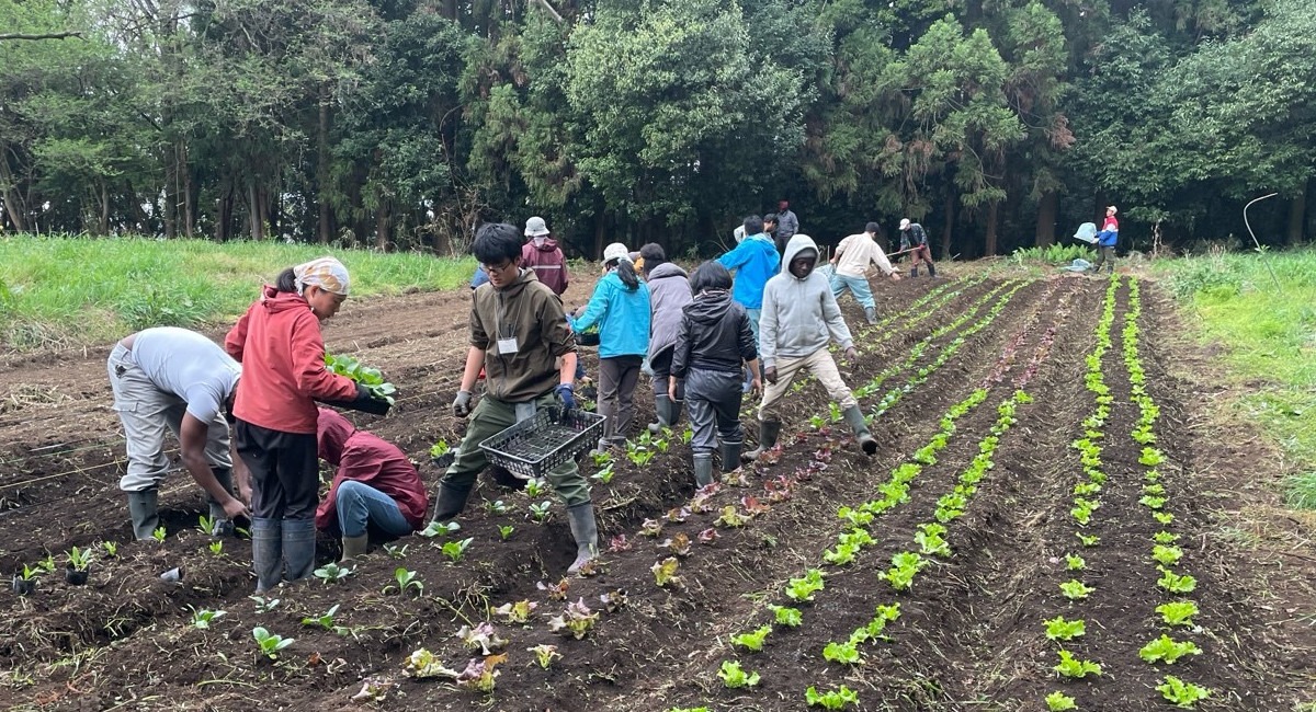 Living with the soil as brothers and sisters from many nations