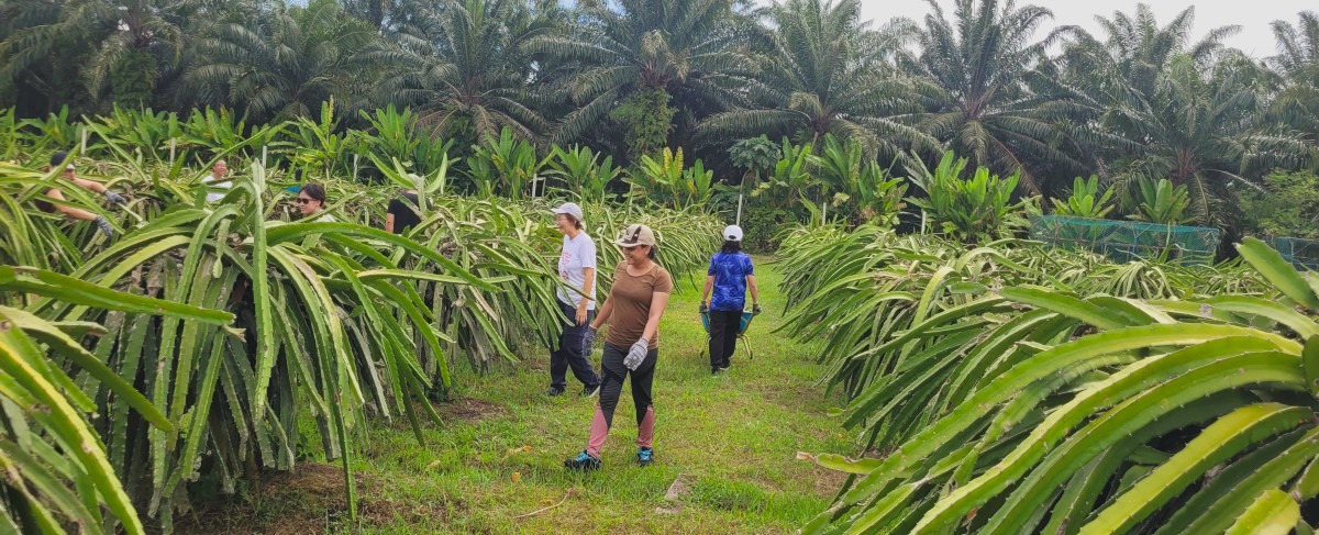 Fostering the next generation of eco warriors