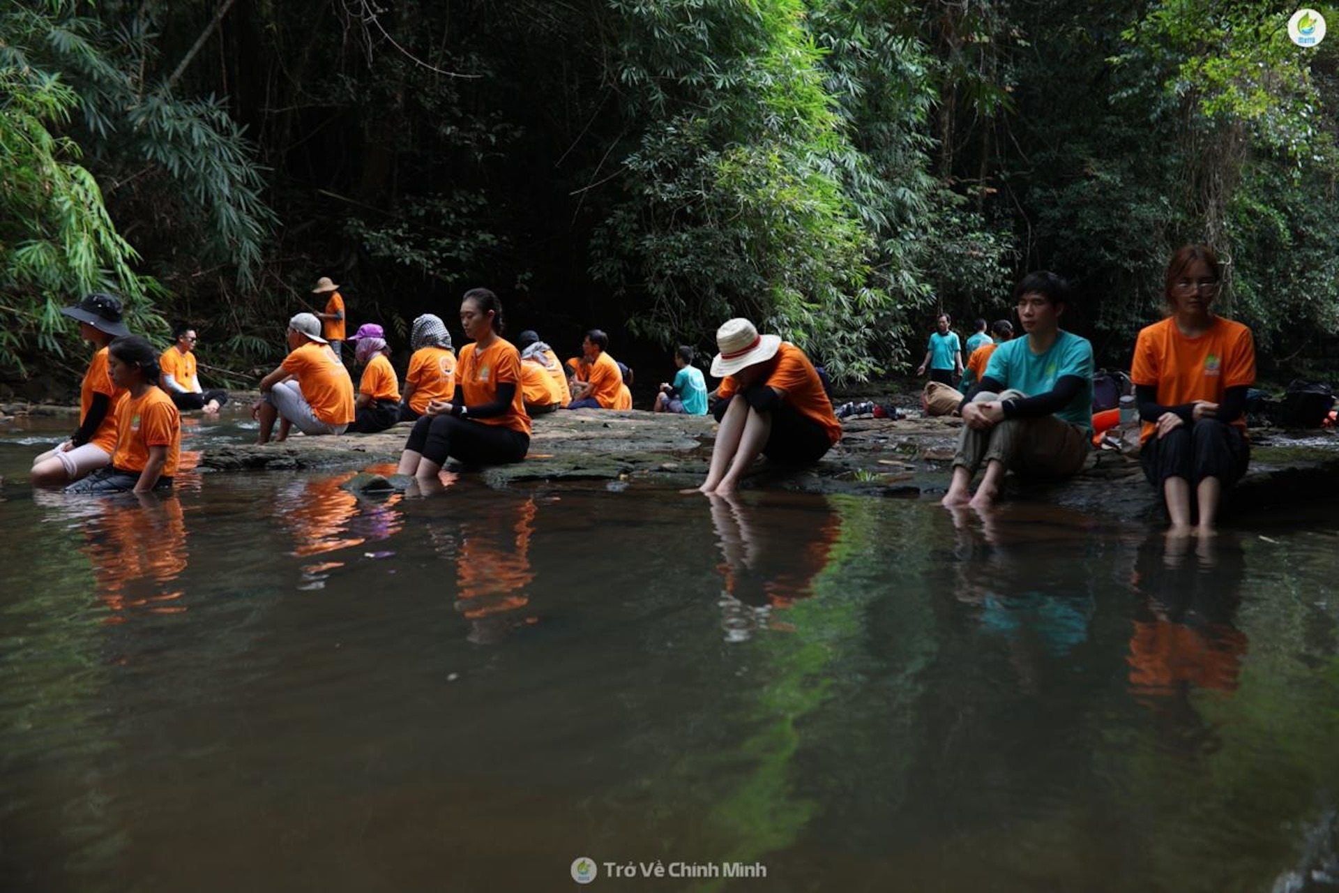 Mindfulness meditation: Reconnecting with nature and ourselves